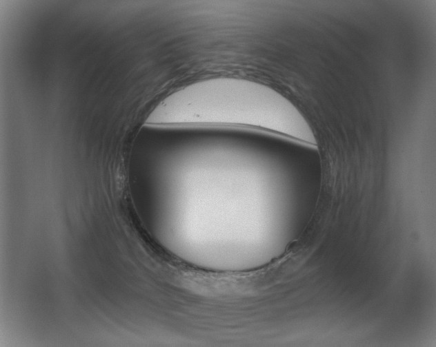 X0000062850040200601130933