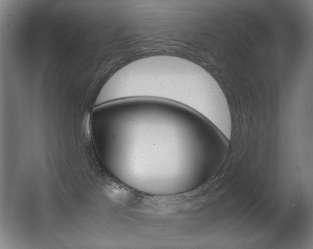 X0000062850041200601130933