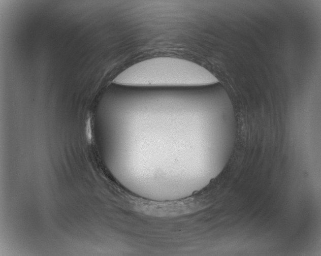 X0000062850042200601130933