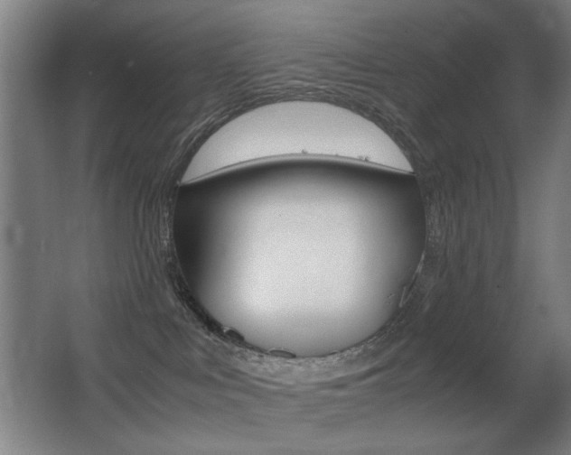 X0000062850043200601130933