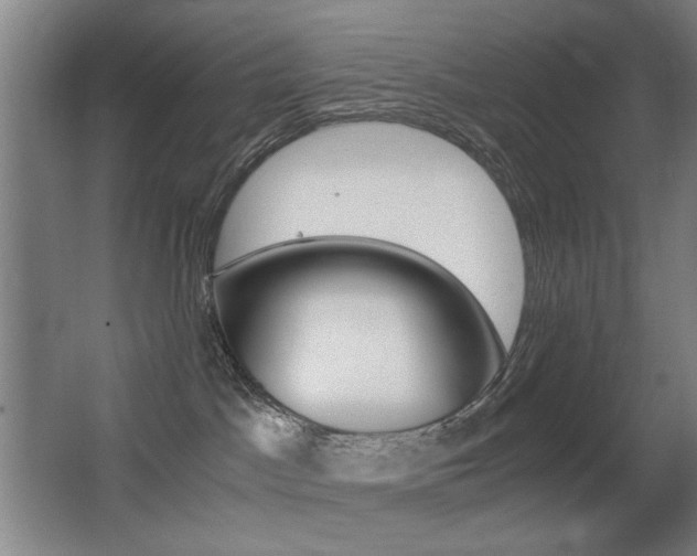 X0000062850045200601130932