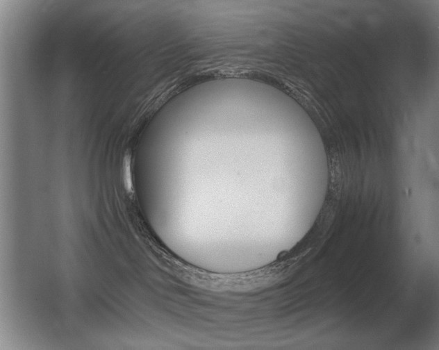 X0000062850046200601130932