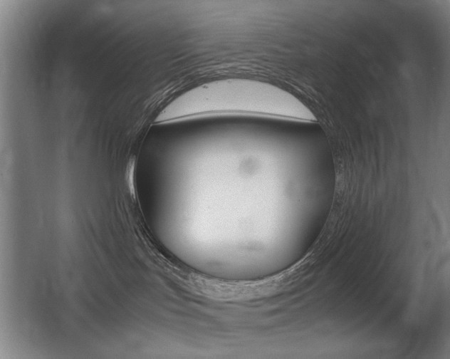 X0000062850047200601130932