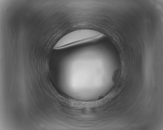 X0000062850048200601130932