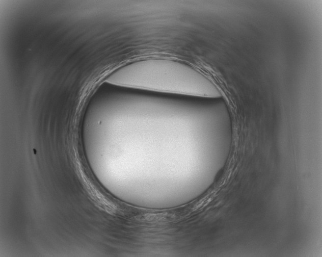 X0000062850049200601130932