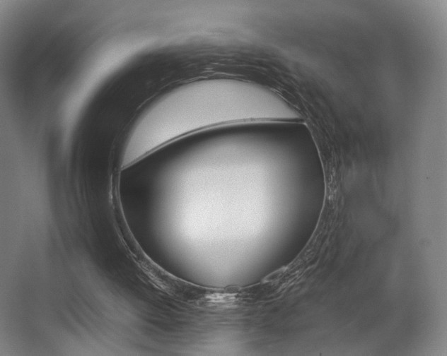 X0000062850052200601130932