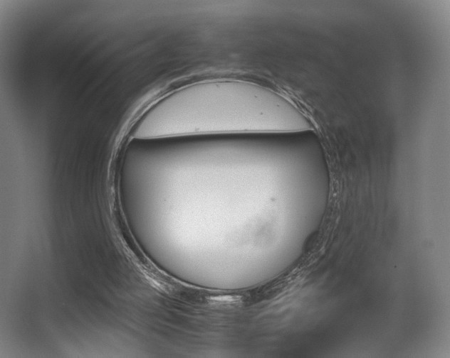 X0000062850053200601130932