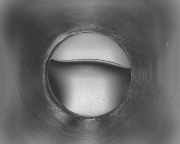 X0000062850054200601130932