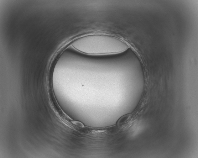 X0000062850055200601130932