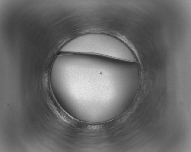 X0000062850057200601130932