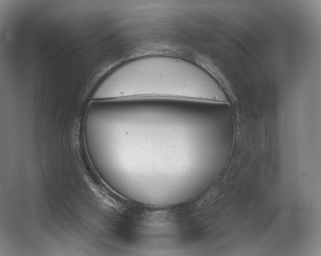 X0000062850058200601130932