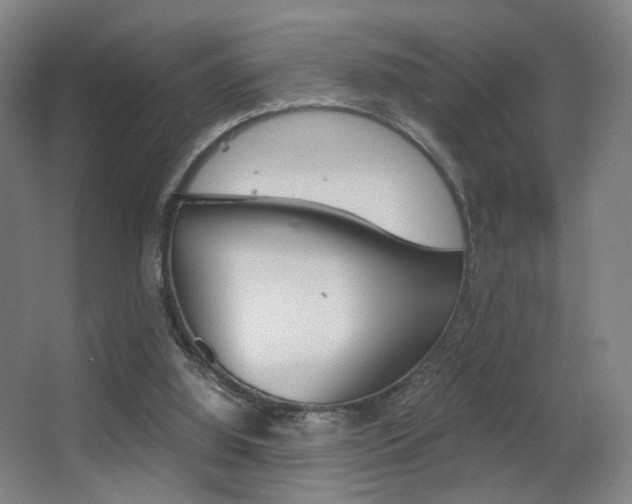 X0000062850060200601130932