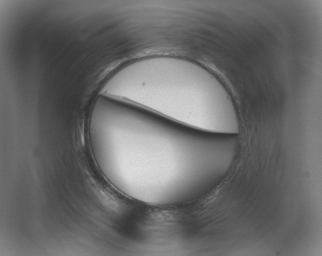 X0000062850062200601130932