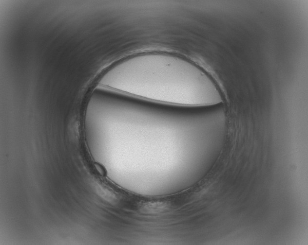 X0000062850063200601130932