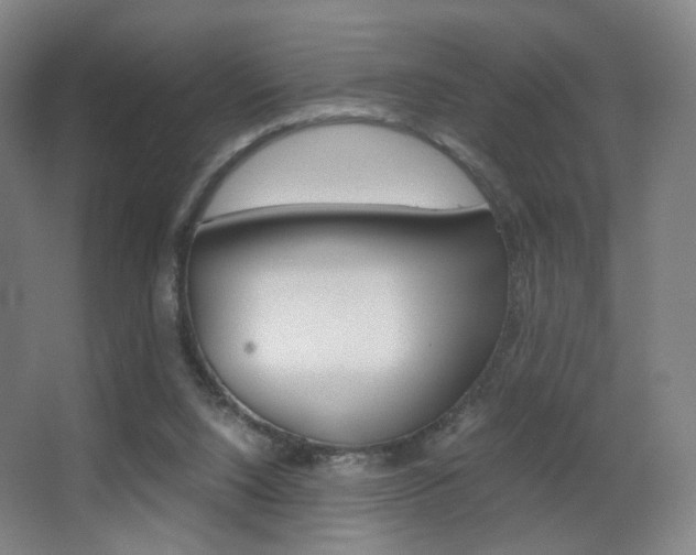 X0000062850064200601130932