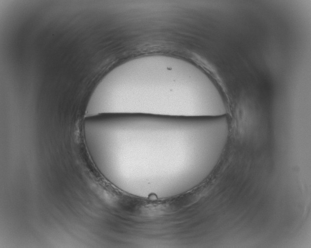 X0000062850065200601130932