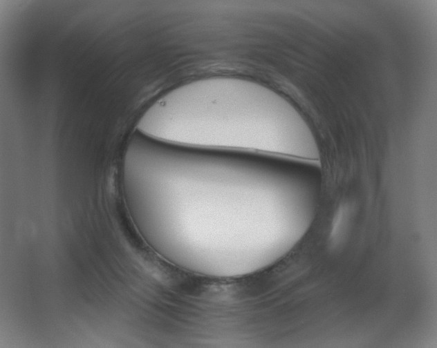 X0000062850071200601130932