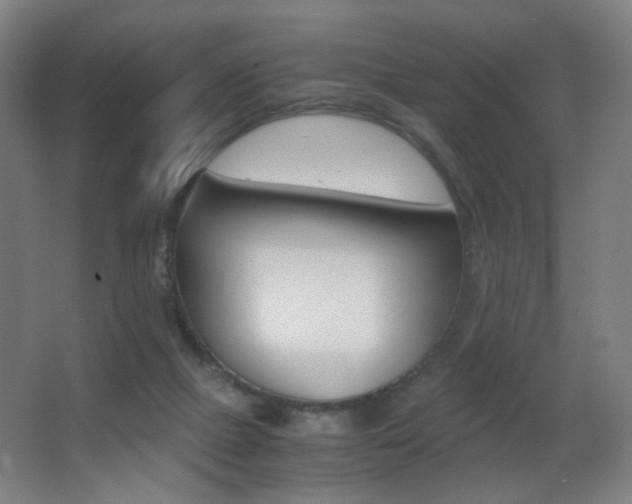 X0000062850073200601130932