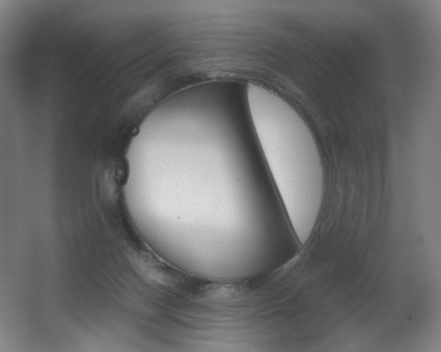 X0000062850074200601130932