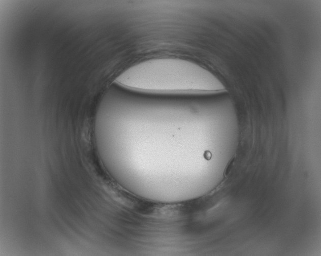 X0000062850078200601130932