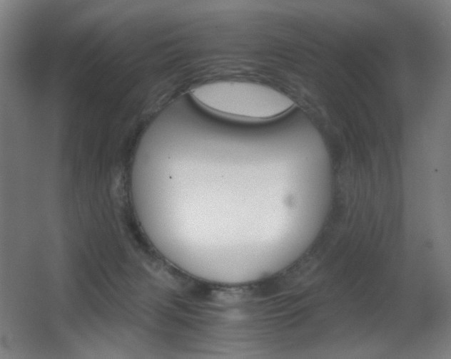 X0000062850079200601130932