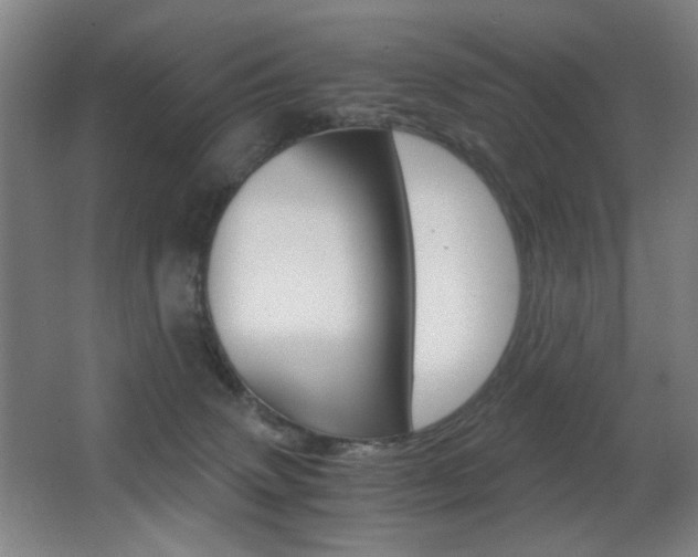 X0000062850083200601130932