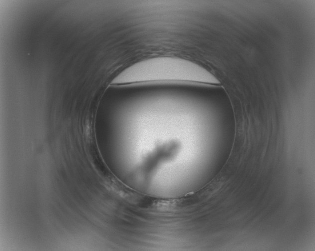 X0000062850084200601130932