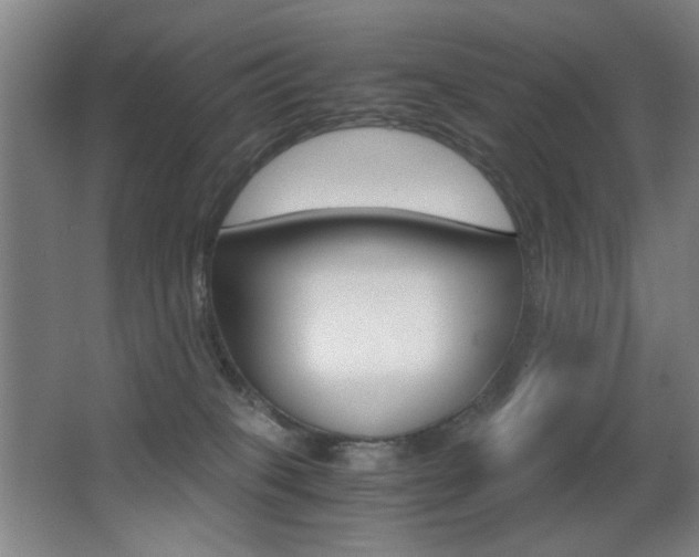 X0000062850085200601130932