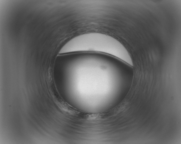 X0000062850088200601130932