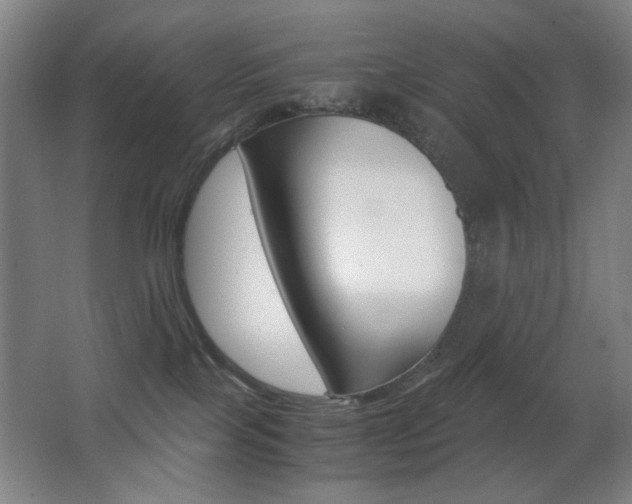 X0000062850089200601130932