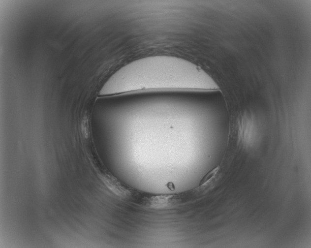 X0000062850090200601130932