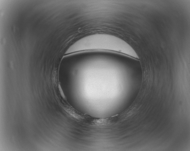 X0000062850092200601130932