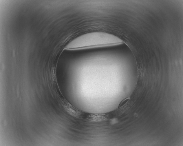 X0000062850093200601130932