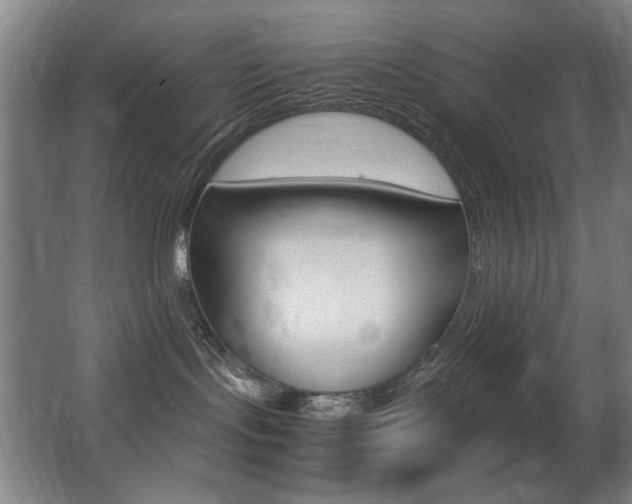 X0000062850095200601130932