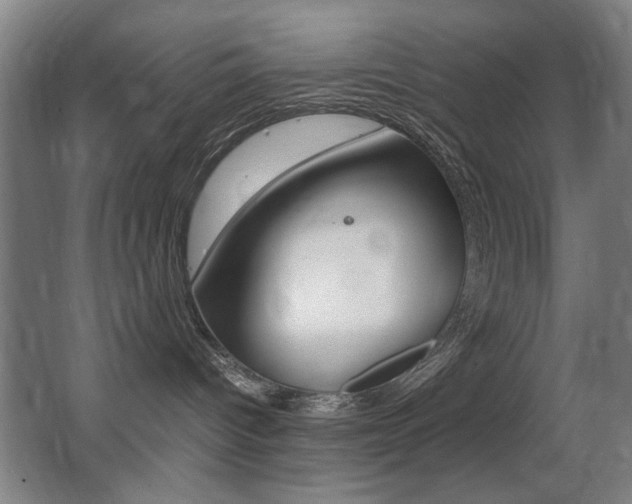 X0000062850096200601130932