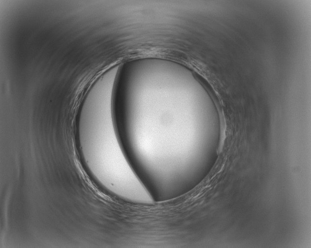 X0000062850097200601130932