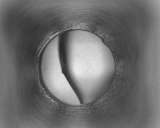 X0000062850098200601130932