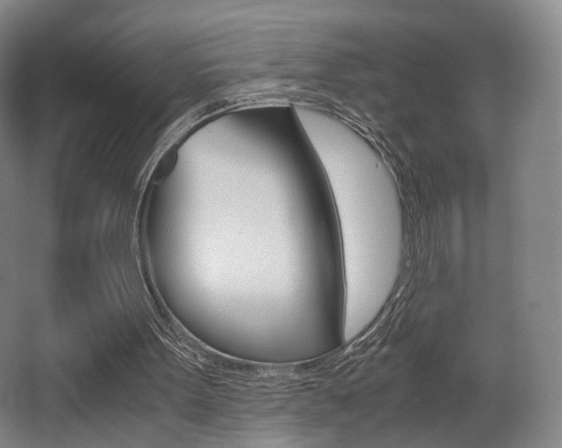 X0000062850099200601130932