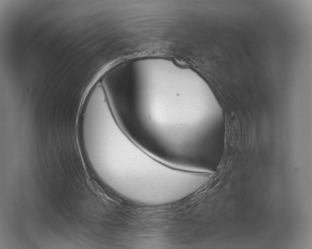 X0000062850100200601130932