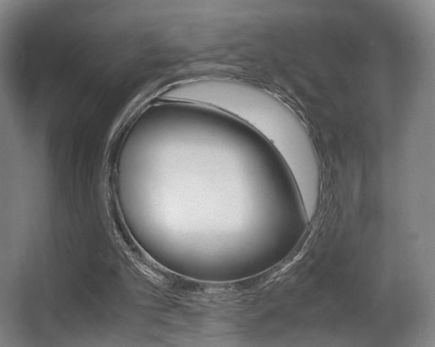 X0000062850101200601130931