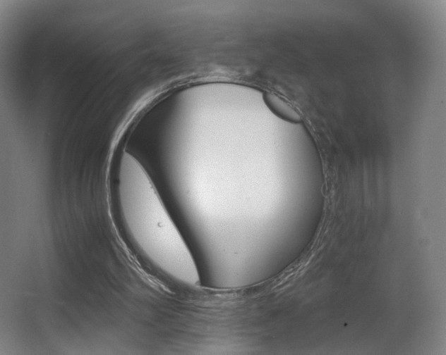 X0000062850102200601130931