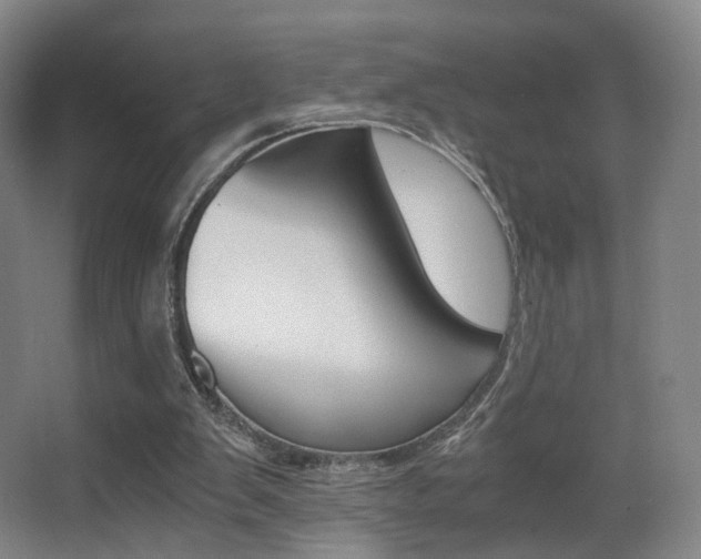 X0000062850103200601130931