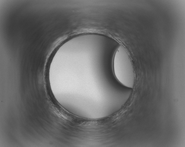 X0000062850104200601130931