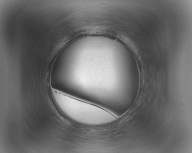 X0000062850105200601130931