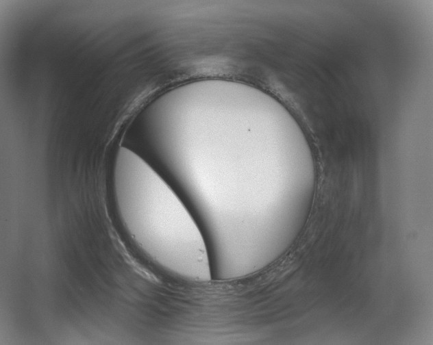 X0000062850106200601130931