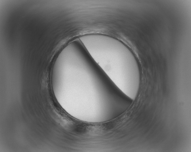 X0000062850107200601130931