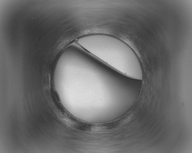 X0000062850109200601130931