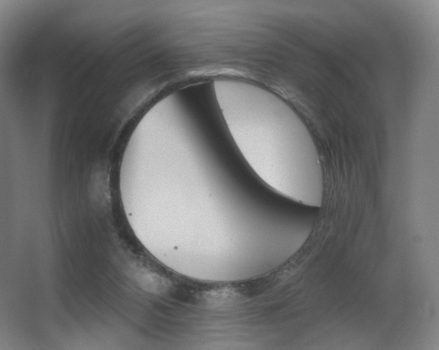 X0000062850112200601130931