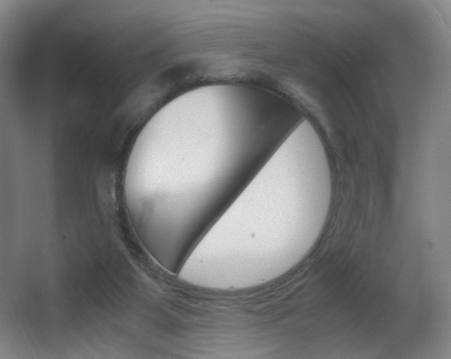 X0000062850115200601130931