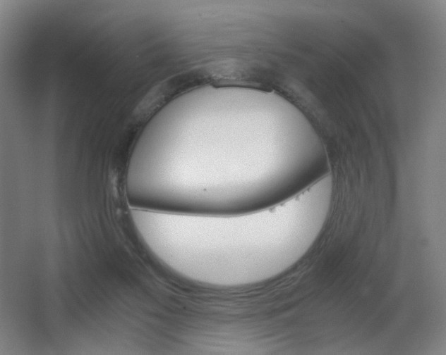 X0000062850117200601130931